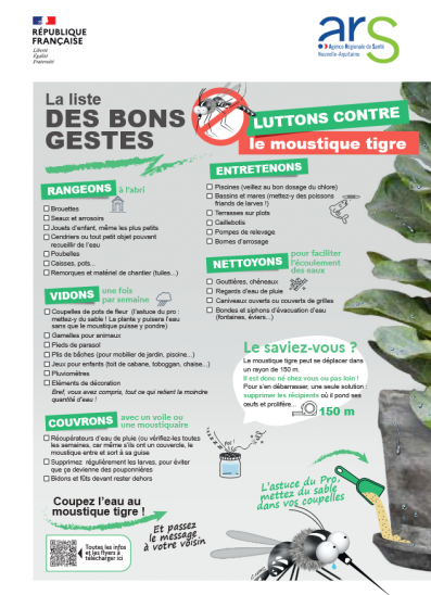moustique tigre.png