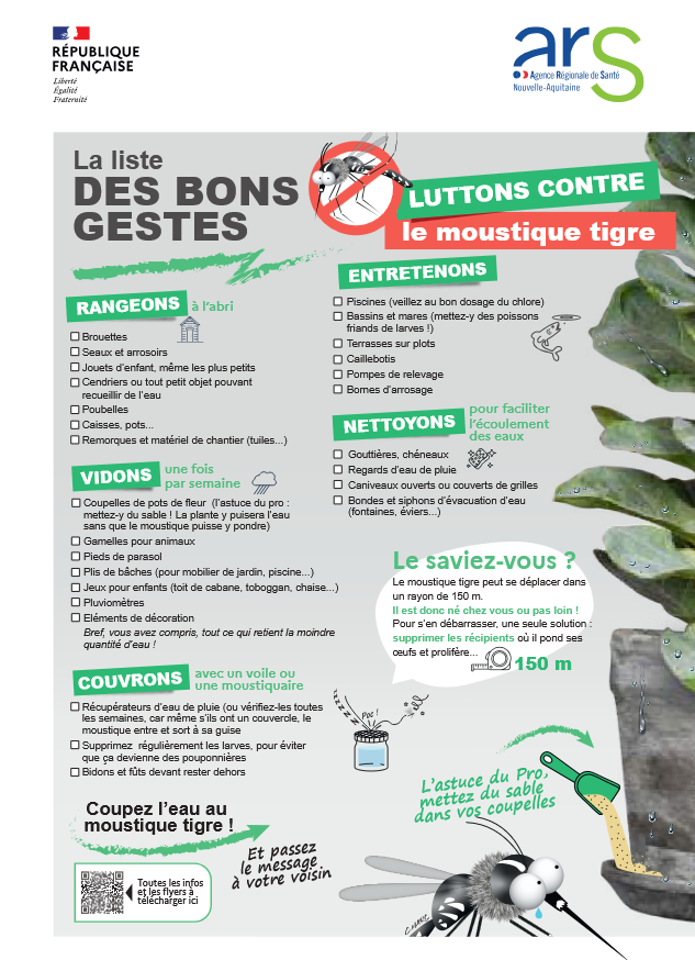 moustique tigre.png