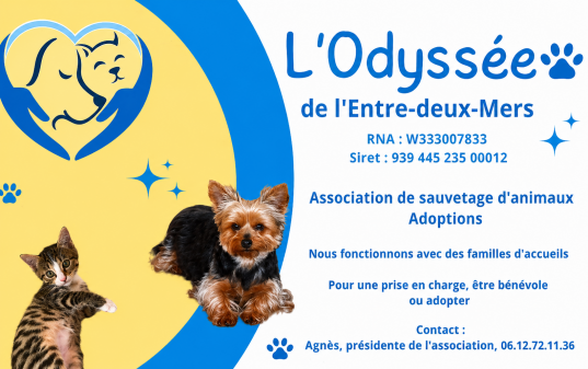 odysseE2M.png