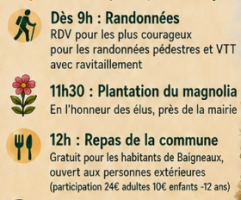 fete village vignette.PNG